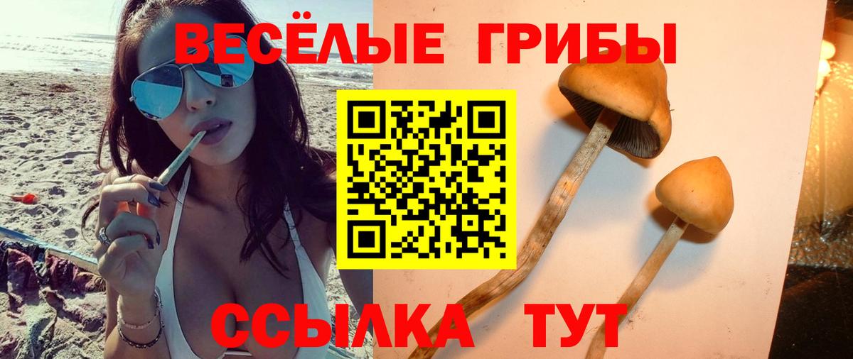 Галлюциногенные грибы MAGIC MUSHROOMS Кизляр